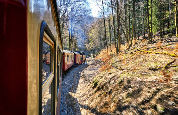 istock Steam locomotive ride through the forest with trees in the mountains. Dynamics through motion blur. 1253022819