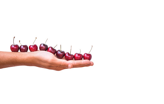 A lined up fresh red cherries on a man's hand. Hand is isolated on a white background.
