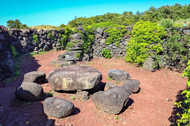 Maze of quickset This maze is located on island of Jeju quickset stock pictures, royalty-free photos & images