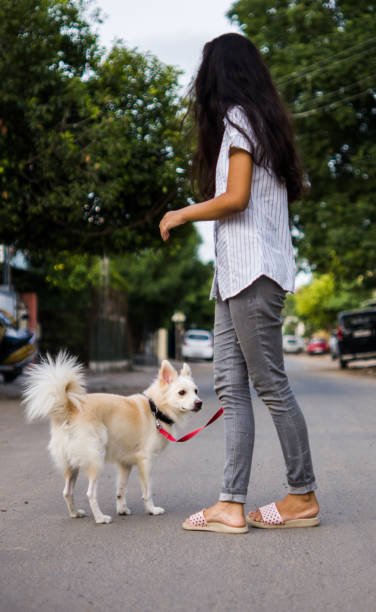istock Girl with dog 1253025380