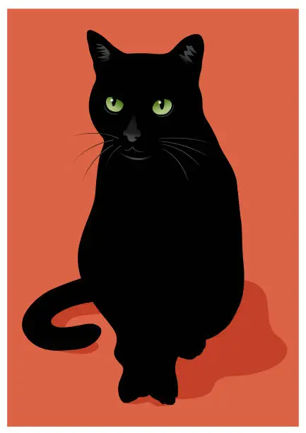 Vector illustration of Black cat vector illustration