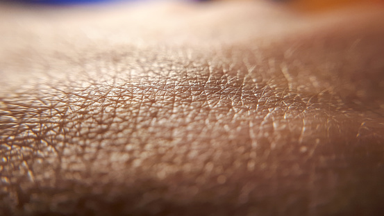 Skin background. Closeup human skin. Hand detail. Clean caucasian skin.