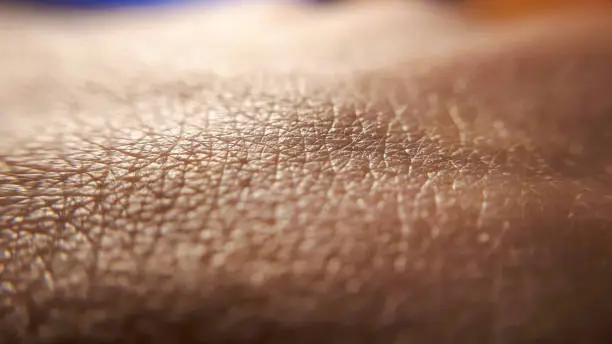 Photo of Skin background. Closeup human skin. Hand detail. Clean caucasian skin.