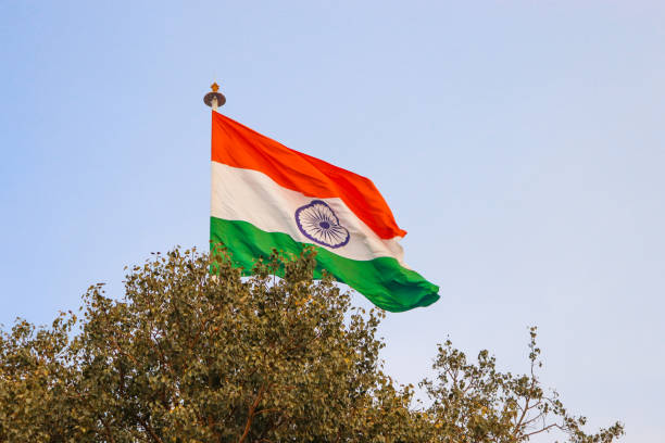 istock india flag with clear blue sky in the background and tree in foreground 1253027495
