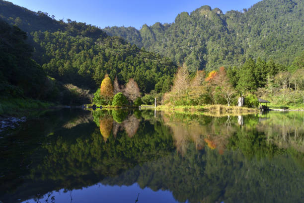 Mingchi National Forest Recreation Area Taiwan