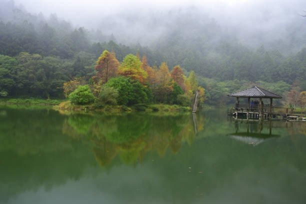 istock Mingchi National Forest Recreation Area Taiwan 1253029087