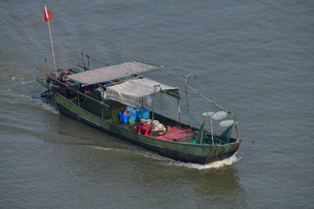 Fishing activities on Lake Taihu Traditional fishing boat on Lake Tai (or Lake Taihu) one of the largest freshwater lakes in China, coming home with catch of the day drying on the boat lake tai stock pictures, royalty-free photos & images