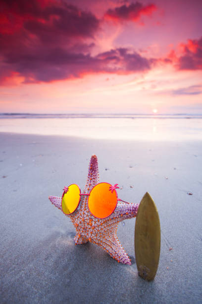 istock Starfish surfer on the beach 1253029857