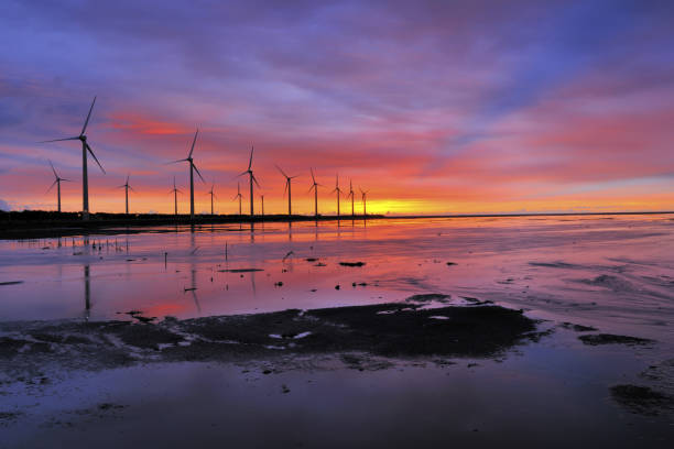 istock Gaomei Wetland Taichung Taiwan 1253030640