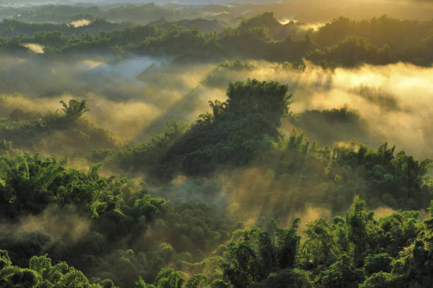 istock Tainan city Taiwan 1253030641