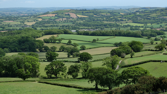 Lush summer fields and rural views in England, /24Dorset/Devon border