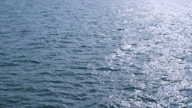 istock Still dark sea, with a lone wave 1253031290