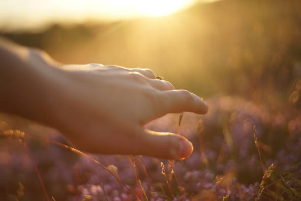 istock Close-up of a small fly that has landed on a human hand. 1253032947