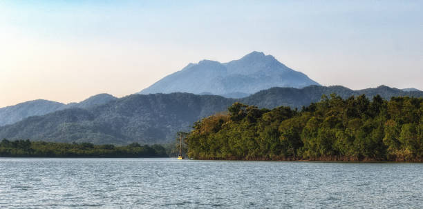 istock Daintree River tour in Queensland, Australia 1253033229