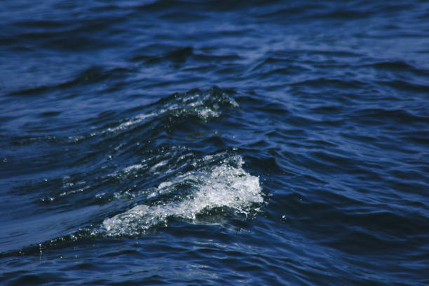 istock Sea water splashes, splashes of waves 1253033807