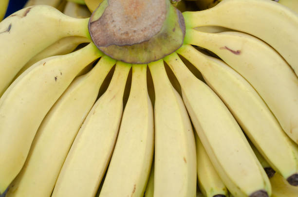 istock Bunch Of Fresh Bananas 1253035918