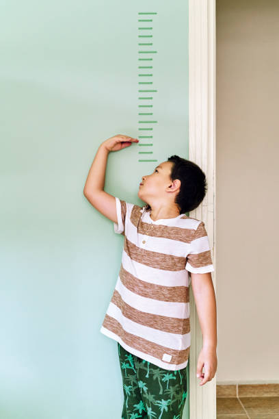 istock Child measuring his height on wall. He is growing up so fast. 1253040273