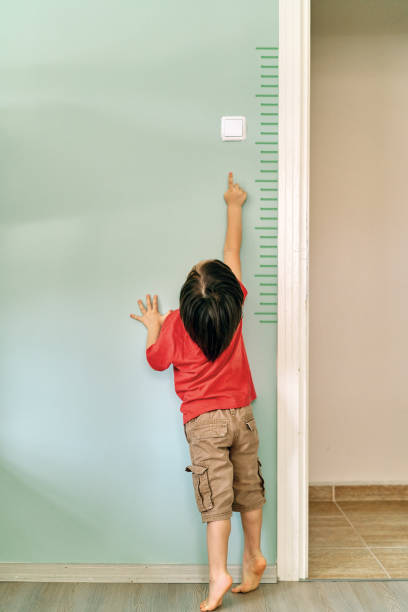 istock Child measuring his height on wall. He is growing up so fast. 1253040503