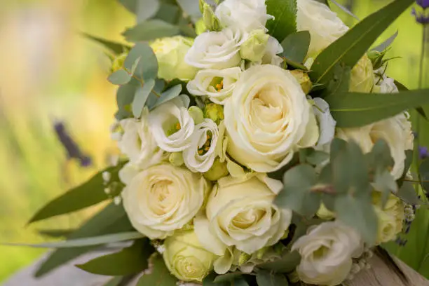 Symbol, Feature, Society, Germany, Rhineland-Palatinate, June 27. The bridal bouquet of a bride who got married on a summer day in Corora times.