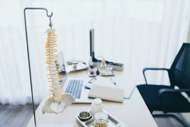 модель позвоночника на столе в кабинете врача в больнице - physical therapy стоковые фото и изображения