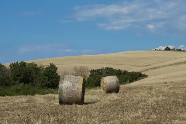 Two haybales in a field in the tuscan countryside