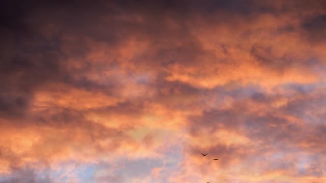 4K timelapse loops with dramatic orange sunset on dark cloudy sky