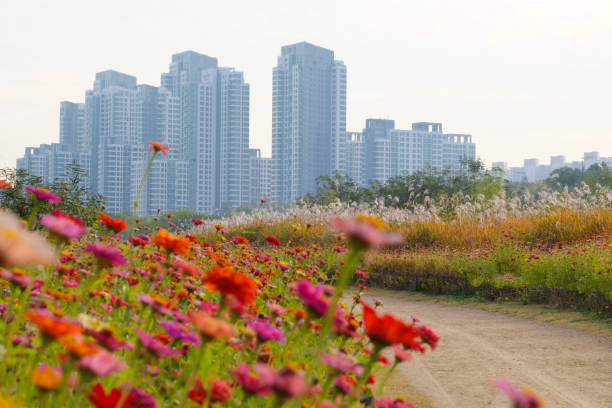 istock landscape view from Dongjak bridge At Hun river .South Korea. 1253048997