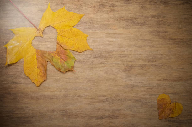hojas rojas y naranjas de otoño con corazón. fondo de madera de otoño. - botany bright brown heart shape fotografías e imágenes de stock