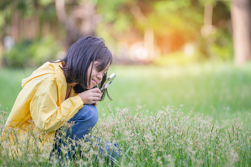 Cheerful girl with magnifying glass in the park, Outdoor learning concept
