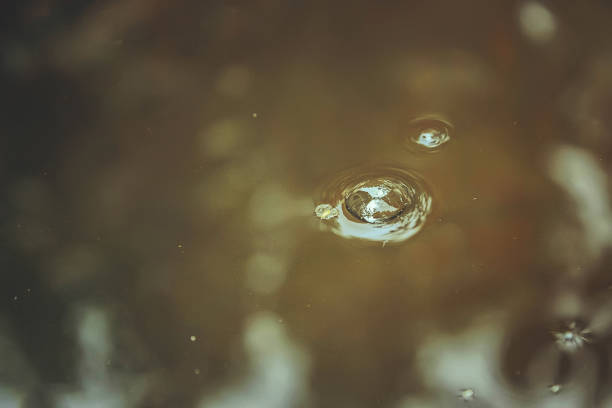 istock Bubble in a muddy puddle during autumn rain. Rain bubble in a puddle. This phenomenon is often observed during autumn rains 1253058370