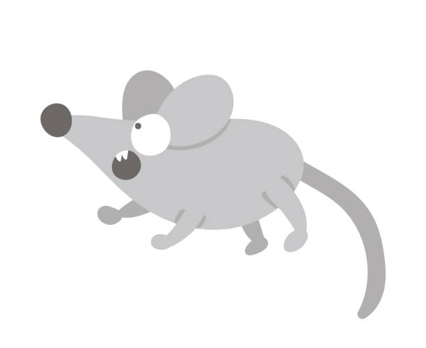 Ilustración de Vector De Dibujos Animados Estilo Plano Divertido Ratón Asustado Aislado En Fondo Blanco Bonita Ilustración Del Diseño De Los Niños Animales Del Bosque y más Vectores Libres de Derechos de Ilustración de Vector De Dibujos Animados Estilo Plano Divertido Ratón Asustado Aislado En Fondo Blanco Bonita Ilustración Del Diseño De Los Niños Animales Del Bosque y más Vectores Libres de Derechos de