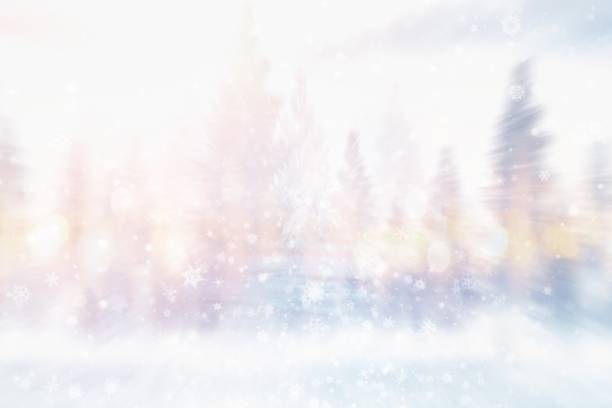 abstract background with bokeh christmas snowflakes and blurred tree pine.
