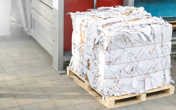 istock Paper and cardboard being compacted. Bales for recycling 1253063552