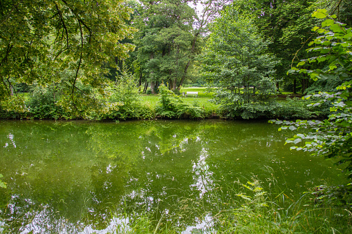 Nature with water and trees at Schlosspark at Hildburghausen in Thüringen, Germany