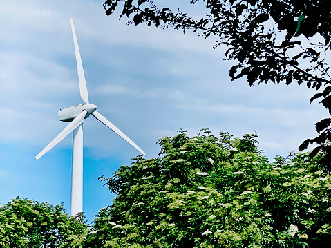 Denmark has many wind turbines. These are connected to the Valby park and can be seen through trees and shrubs.