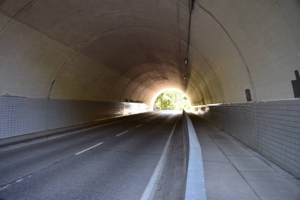 A view from inside a tunnel looking out to the woods.