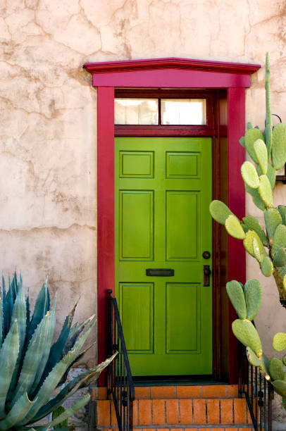 istock Typical southwestern door 1253068266