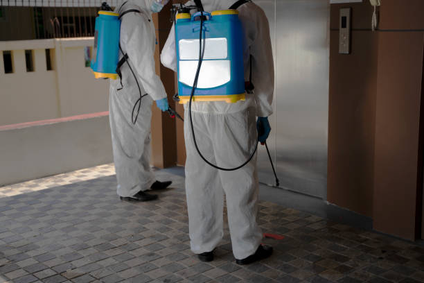 istock Staff spray germicide at the building. 1253072815