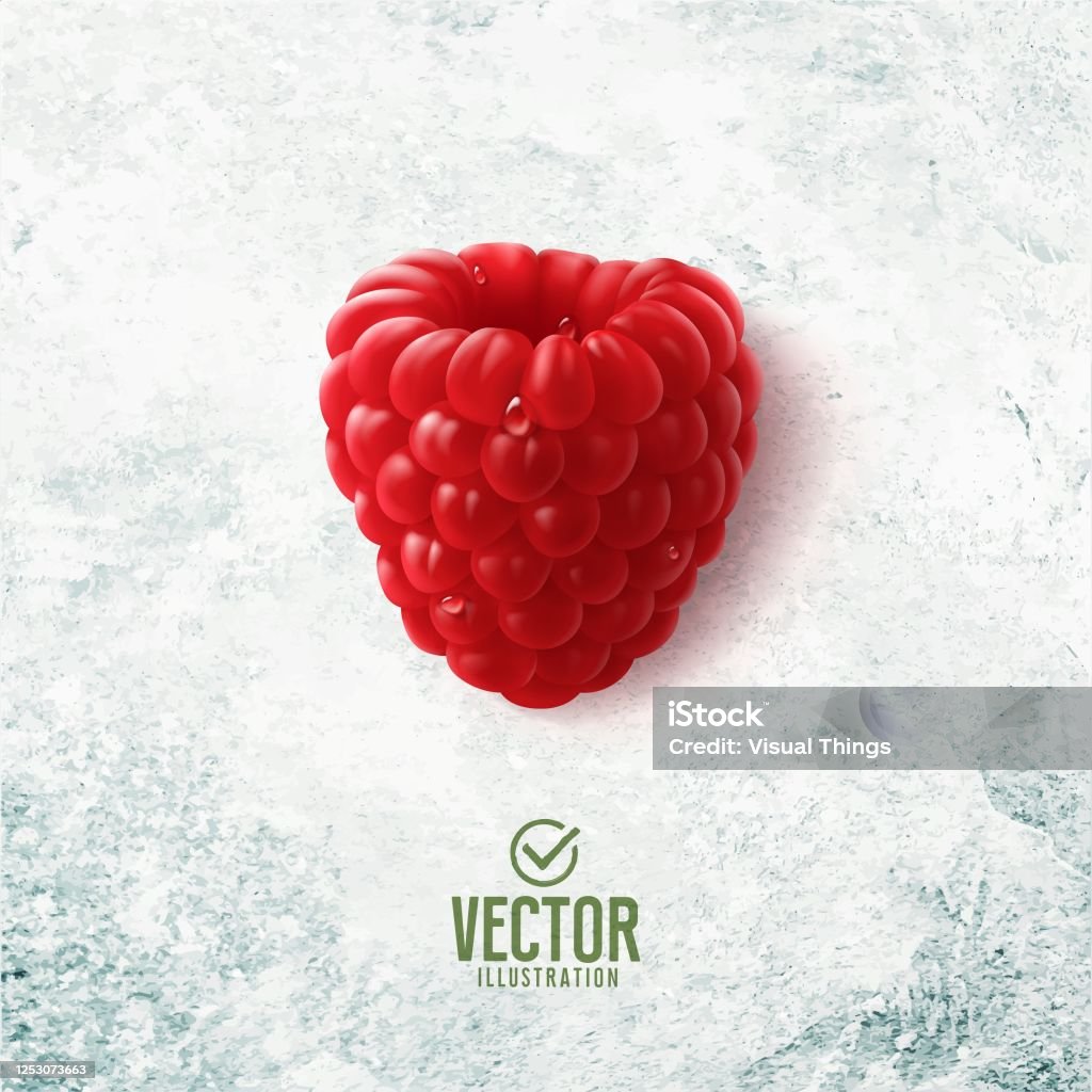 Raspberry Vector Realistic Vector Realistic Raspberry Illustration On White Stone Background Stock ...