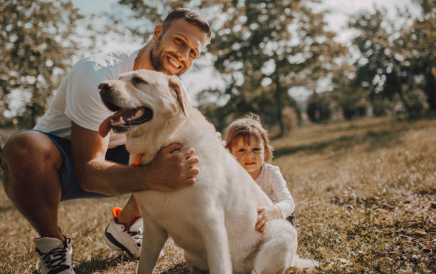 istock Happy Father and Daughter Laughing Hugging Labrador Retriever 1253076524