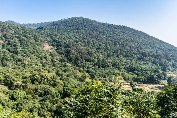 istock A close view of a greenery mountain looking awesome . 1253077187