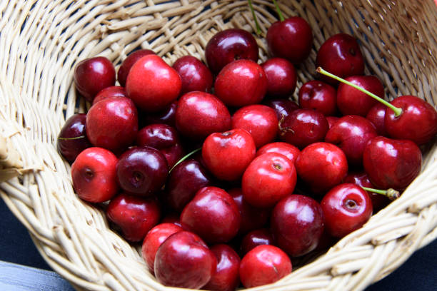 istock Freshly picked red cherries against a black background as a studio shot. 1253077260
