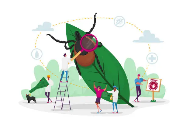 Vector illustration of Tiny Characters Search Dangerous Insect. Mite Hid on Plant Leaf, People Spraying Insect Repellent on Skin and Dog Outdoor. Encephalitis Mite, Tick Bite Protection Concept. Cartoon Vector Illustration