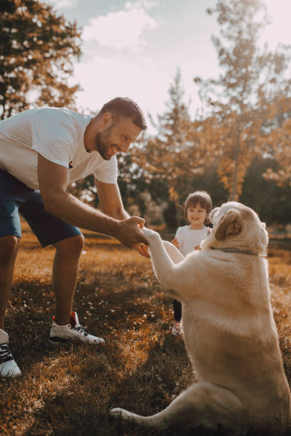 istock Father and daughter walking together with dog 1253077797