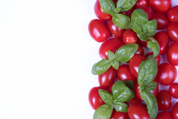 ripe red cherry tomatoes and green wooded basil on a white background with right