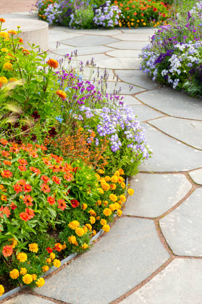 istock Flowerbeds in Botanical garden 1253078804