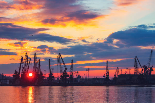 istock Sea port and industrial cranes, dramatic sunset 1253078820