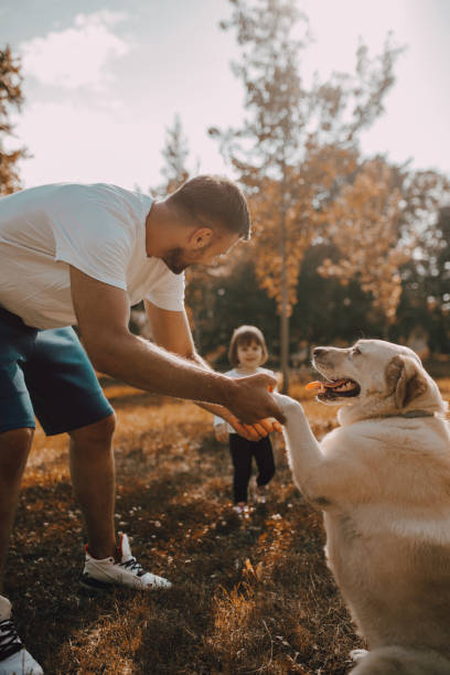 istock Happy Father and Daughter Laughing Hugging Labrador Retriever 1253079786