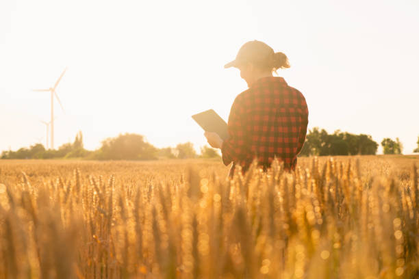 istock Woman farmer with a digital tablet 1253080234