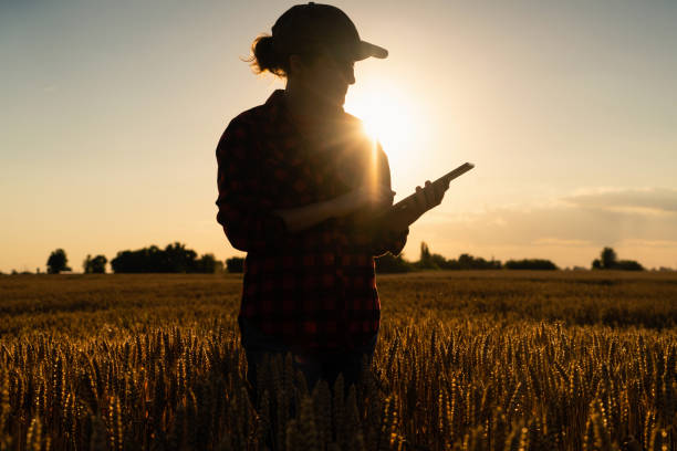 istock Silhouette of a woman farmer 1253080310
